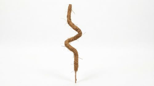 Aran Natural-Lab Palo di Cocco per Piante Rampicanti 80 cm - Tutore in Muschio per Monstera e Pothos - Supporto Stabile da Giardinaggio 1pz