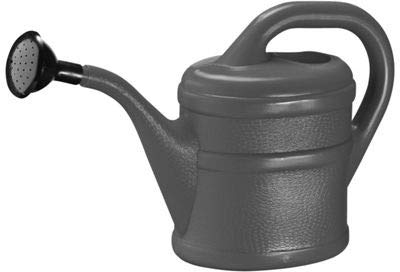 Small Indoor Watering Can with removable rose (1 Litre, Anthracite Grey)