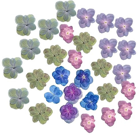 LIFKOME 30stücke Teiliges Gepresste Trockenblumen Schwerblättrige Hortensie Natürliche DIY Dekoration Langlebig Zur Herstellung Von Schmuck Scrapbooking Und Kunsthandwerk