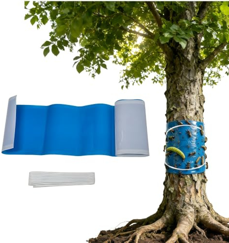 Sixinfeto Cinta Adhesiva para árboles 15 cm x 3 m Pegatinas antihormigas Exterior Tape trampas Hormigas Avispas Moscas Anti pulgones Plantas para Control de plagas protección de árboles frutales