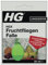 HG X Trampa para moscas de la fruta