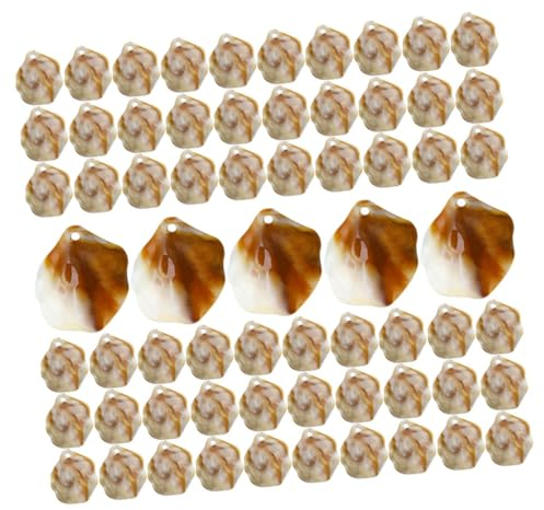 SEWOART 100st Muschelschmuckmaterial Halsband Muschelkette Halsketten Eine Halskette Muschel-anhänger Schmuckherstellung Ornamente Diy Anhänger Thema Empfindlich Kunsthandwerk Acryl