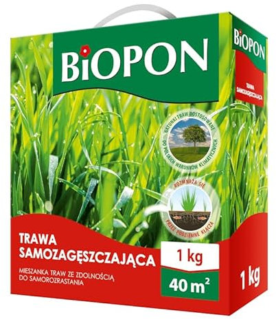 Self-Densifying Grass Seed – Regeneration Mix 1kg/2kg – Ideal for Lawns, Playgrounds & Sports Fields (1kg - 40 sqm)