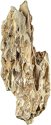 sera 32619 Rock Dragon Stone L