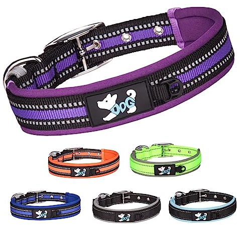 TSKDKIT Hundehalsband Verstellbare, Super Weiches Neopren Gepostertes Hundehalsband, Reflektierend Hunde Halsband Atmungsaktives Wetterfest für das Training, für alle Hunderassen(Lila,S)
