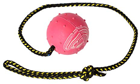 Dingo Gummiball Trainingsball zum Apportieren Spielzeug Mehrfarbig Hundetraining mittelgroßer Ball ø 6 cm mit Glocke Seil 60 cm 17280
