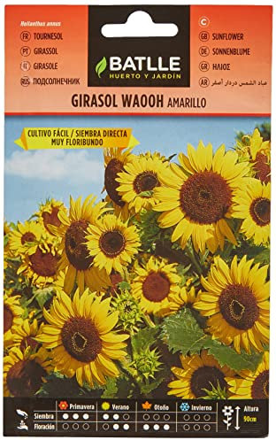 Semillas Batlle Girasole Wahoo Giallo