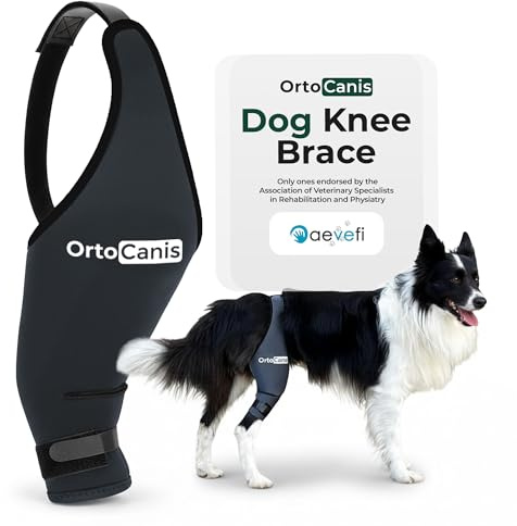 Ortocanis - Kniebandage Hund Hinterbein für das Linke Bein - Hergestellt aus Neopren ARD - Bei Kreuzbandriss, Bänderverletzungen, Patellaluxation oder Osteoarthritis - Größe XXX-Small (6,4-7)