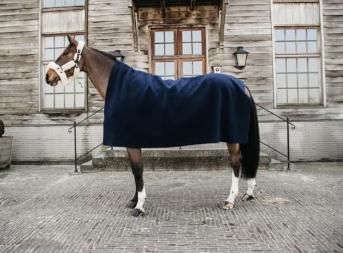 Unterdecke für Pferd trocknend quadratisch Kentucky