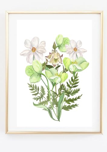 Kunstdruck Din A4 ohne Rahmen - Blumenstrauß mit Christrose - Frühling Schneerose Helleborus Blume Blütenstrauch Aquarell - Druck Poster Bild