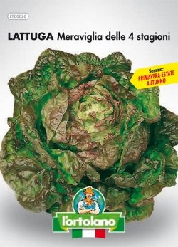 Sementi orticole di qualità l'ortolano in busta termosaldata (160 varietà) (LATTUGA MERAVIGLIA DELLE QUATTRO STAGIONI)