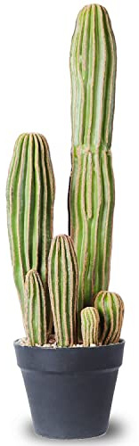AntHousePlant Cactus Artificiel de 61 cm pour décoration de Maison, Jardin, Bureau, Magasin