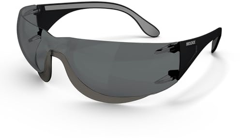 Moldex ADAPT 2K Solar Schutzbrille 140201