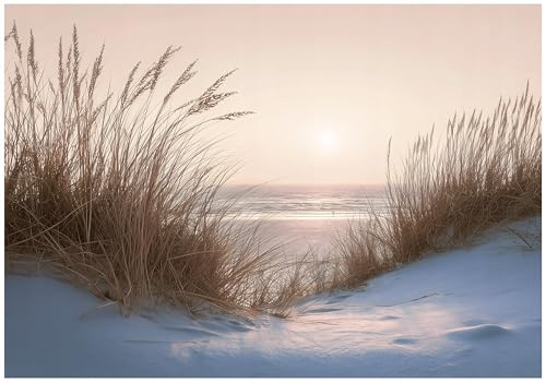WallArena Vlies Fototapete, Meer, 200x140cm | Fototapeten - Tapeten - für Wohnzimmer Schlafzimmer - Vliestapete Wandtapete Tapete 3D Effekt- inkl. Kleister