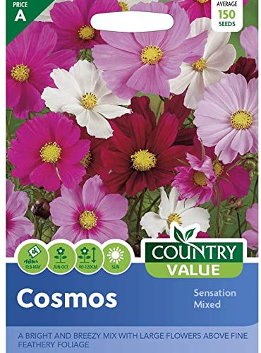 Cosmos Sensation Mixed by Country Value, Seeds for 150 Plants