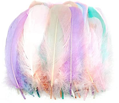 TYEQWT Federn zum Basteln, 400 Stück Bastelfedern, Federn Deko, Federn Groß, Basteln Federn Zubehör für Karneval Fasching Deko, DIY Ohrring, Hochzeit, Traumfänger, Kopfschmucksfedern, Schulhandwerk