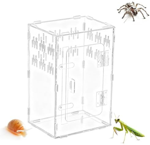 Spindel Terrarium - Genomskinlig Klättringszon | Akrylterrarium,För Reptil Fisk Sköldpadda Skäggagam Orm Sköldpadda Gecko Eremitkräfta