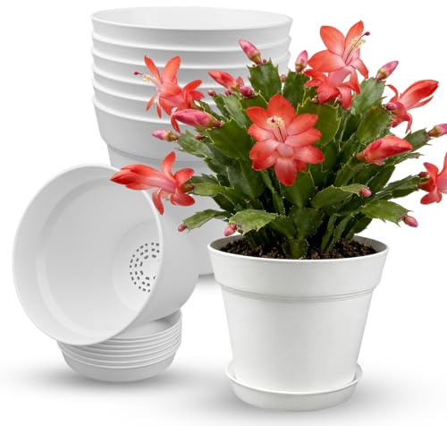 TEYIAN 15cm/6-in Plant Pots Indoor 8 Pack Plastic Flower Pots with Drainage Holes and Saucers Modern Decorative Planters Succulent Indoor Outdoor Plants