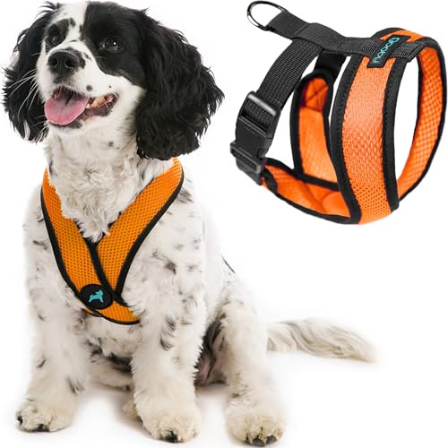 Gooby Comfort X Head i sele – orange, X-Large – No Pull liten hundsele, patenterad choke-fri X-ram – On The Go hundsele för medelstora hundar, inget drag, små hundar för inomhus- och utomhusbruk