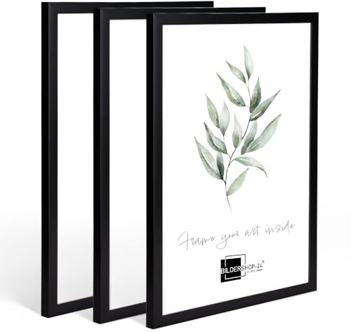 Bildershop-24 3X Kunststoffrahmen modern Bilderrahmen Fotorahmen gradlinig Schwarz 21 X 30 cm (DIN A4)