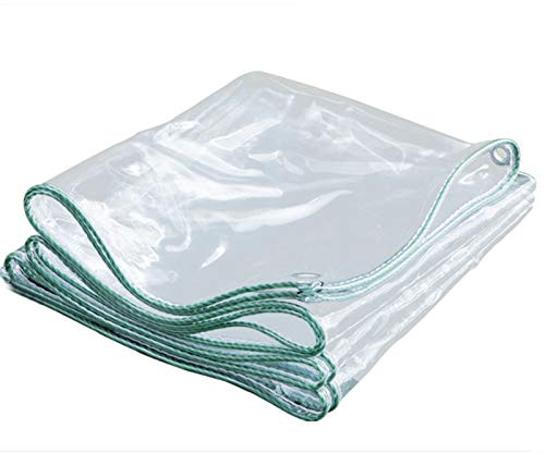 LSXIAOLSX Outdoor Heavy Duty Tarp Cover, 0.3mm Pvc Waterproof Windproof Drawstring Hem with Metal Eyelets for Garden Furniture, Greenhouse, Cargo Cover (Color : Clear, Size : 2x2m)