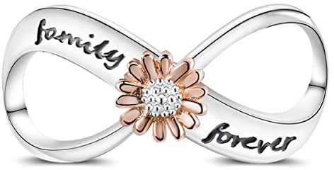 MULA Charms Anhänger Silber 925 für Armbänder, Kompatibel mit Europäischen Armbändern und Halskette für Frauen