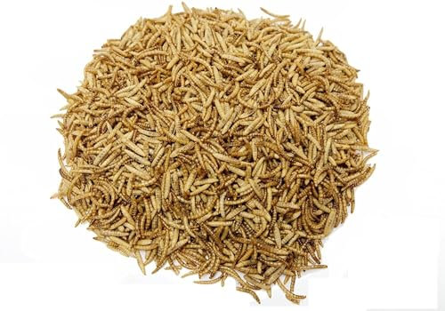 Superpet Dried Calciworms And Mealworm 50/50 Mix Birds For Fish Hedgehogs And Many More (5Kg)