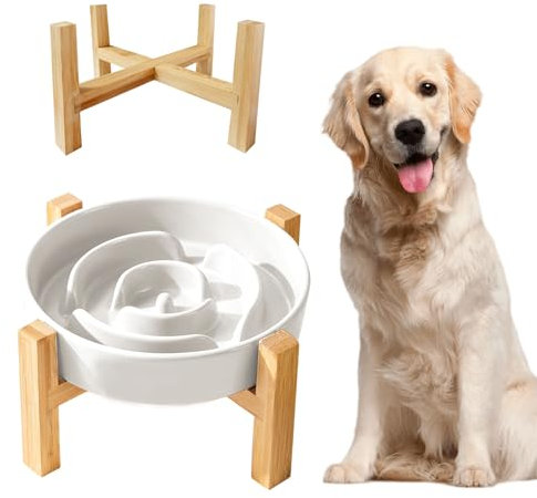 Gamelle anti-glouton pour chien en céramique avec support en bois, alimentation lente surélevée pour chien de taille moyenne et grande, blanche, 19,5 cm