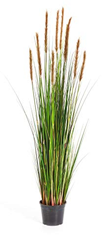 artplants.de Künstliches Fuchsschwanzgras, braunen Rispen, weiß - grün, 150cm - Kunstgras - Dekogras