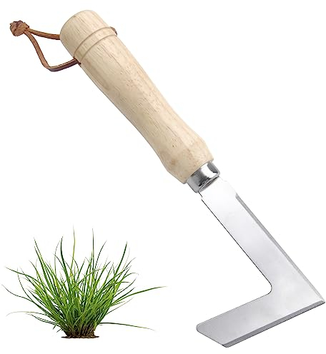 Fugenkratzer, Unkrautstecher Edelstahl, Fugenkratzer Unkraut Garten, Ergonomischer Holzgriff Fugenmesser zum Entfernen aus Fliesenfugen zu Entfernen für Moos, Jäten, Lösen, 23cm