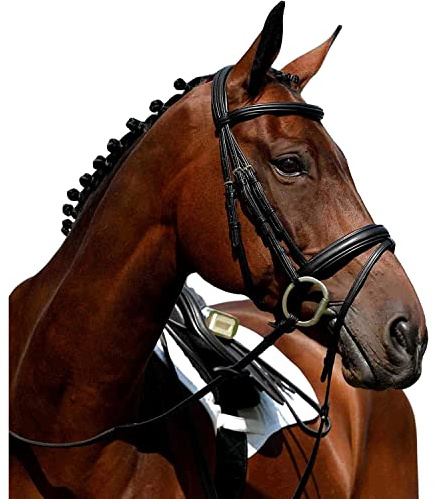 Collegiate Syntovia+ Padded Raised Flash Bridle, Brown, Full
