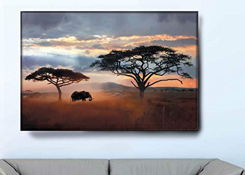 VFV Folien- und Werbetechnik Keilrahmenbild - Afrika - Moderne Wandbilder Leinwandbilder als Wanddekoration Wohnzimmer Deko (B 90cm x H 60 cm)