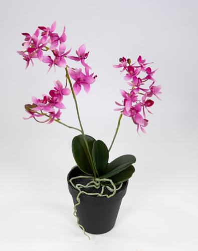Seidenblumen Roß Künstliche Orchidee 38cm im Topf DP Blumen Pflanzen Kunstblumen Kunstpflanzen (Fuchsia)
