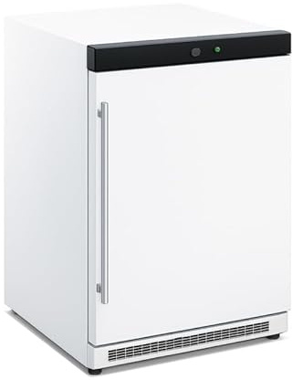 Générique Armoire Réfrigérée Positive 200 Litres - 1 Porte