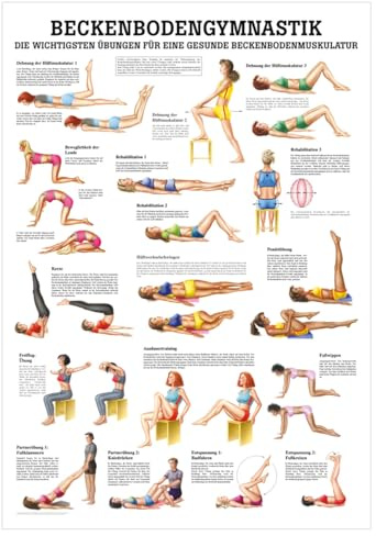 Sport-Tec Beckenbodengymnastik Mini-Poster Anatomie 34x24 cm medizinische Lehrmittel