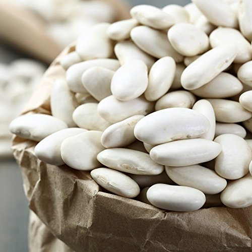 Semillas de frijol - frijol corredor