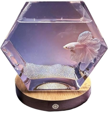 CSYQPDMBDL Kugelaquarium, Goldfischglas, Mit Basis Fünfeckigen Transparent Glas Kleine Fisch Tank Wohnzimmer Desktop Dekorative Ornamente