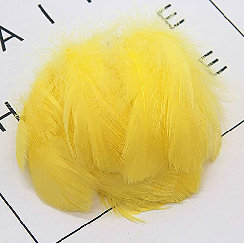 Bunte Federn,100 Stück Natürliche Federn Naturfedern Kopfschmucksfedern Handwerk zum Basteln für DIY Dream Catcher Crafts,Ohrring,Hochzeit,Traumfänger,Kostüme,Hüte,Zuhause Dekor,Halloween Party,Gelb