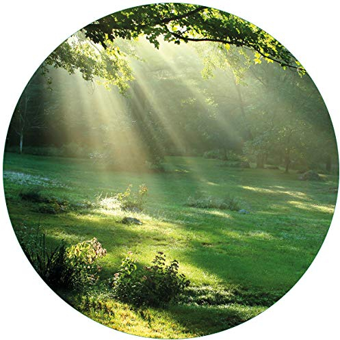 Wallario Glasbild rund Sonnenstrahlen im Wald - Rund, 50 cm Durchmesser Wandbild Glas in Premium-Qualität: Brillante Farben, freischwebende Optik