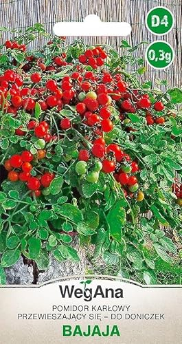 WegAna Tomate Bajaja Tomatensamen 0,3g, Robuste Gemüsesamen, Gemüse Samen, Samen Anzucht, Saatgut für Gewächshaus