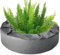 Tisujune 2 cestas flotantes para Plantas, Isla Flotante, Isla Flotante, para Plantas acuáticas, jardín y Juegos de Agua, 22/33 cm
