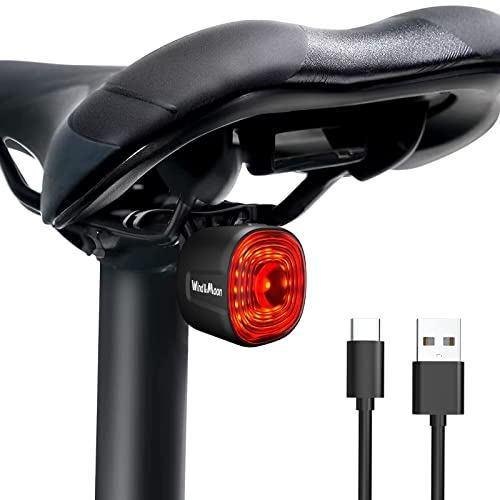Wind&Moon Luce Posteriore Bici Intelligente,Luci Bici Posteriore Ricaricabile USB Impermeabile,con Sensore di Frenata 6 Modalità di Illuminazione, Adatto per il Ciclismo