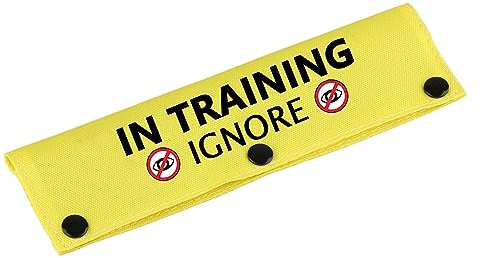 Lustige Hundeleinen-Hülle mit Aufschrift Have In Training Ignore, Hundeleine, zum Aufhängen, ID-Patch-Tag, Haustier-Geburtstagsgeschenk (Training Ignore-YE Sleeve)