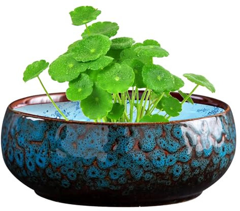 Liakyunf Pflanzschale, Retro-Kaktusvase, Keramik, rund, Blaue Lilie, Dekoration, für den Innenbereich, für Garten, Zuhause, Tischdekoration für Balkon