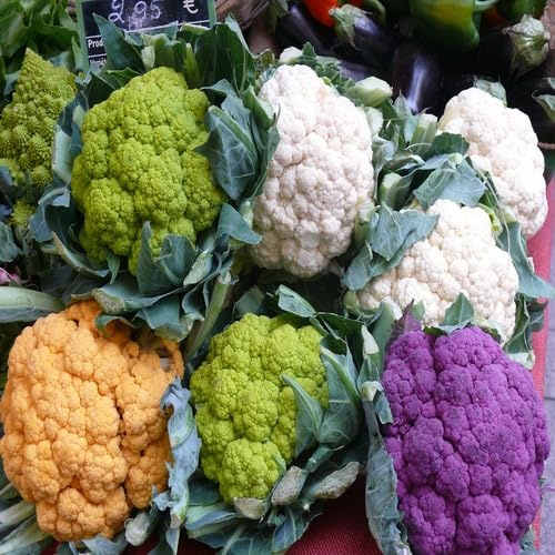 100 semi misti di cavolfiore