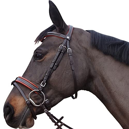 Canter Zaumzeug Reiten Alme