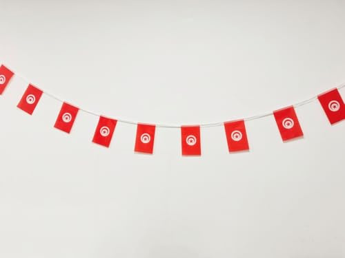 Drapeau de la Tunisie 40 Unités Drapeau de la Tunisie, Guirlande Tunisie 11,4M, petits drapeaux Tunisie, Drapeau National Drapeaux Européens 14 x 21 cm pour Décorations de Bars