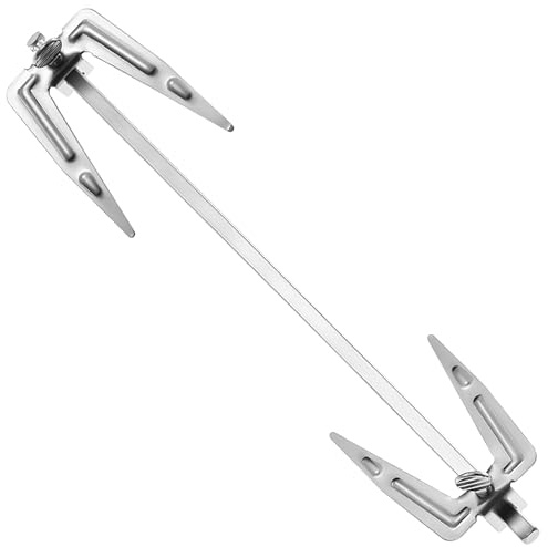 Frcolor Stainless Steel Air Fryer Fork Universal Roast Chicken Fork Fish Grilling Rotisserie Meat Air Fryer Accessories for Bbq Home Kitchen Outdoor 9.8inx1.9in