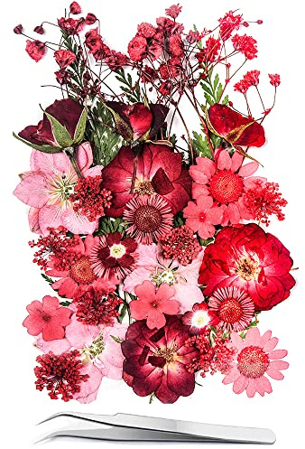 YoothBro 15 olika typer av 37 stycken rosa torkade pressade blommor för hartsformar. Verkliga, naturliga pressade blommor för gör-det-själv-hantverk, ljustillverkning, nageldekoration