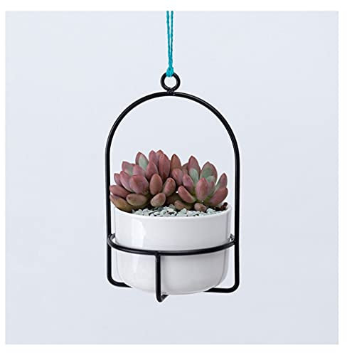 hängende Blumentöpfe Hallenbehälterpflanzer Metall Pflanzenaufhänger Home Decoration Hängende Blumentopf for saftigem und Nadelkissen-Kaktus-Innen-Floating-Pflanzer, NEIN Anlage inkl ( Color : Schwarz